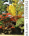 銀杏和秋葉 133598162