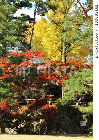 銀杏和秋葉 銀杏和秋葉 133598162