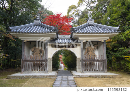 萬願寺，三門，秋季紅葉（兵庫縣川西市） 133598182