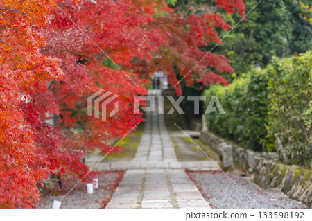 Manganji Temple approach to the temple during autumn foliage season (Kawanishi City, Hyogo Prefecture) Manganji Temple approach to the temple during autumn foliage season (Kawanishi City, Hyogo Prefecture) 133598192