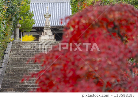Manganji Temple Kondo in autumn (Kawanishi City, Hyogo Prefecture) 133598193