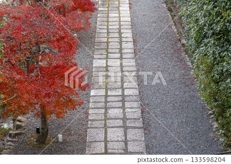 Manganji Temple approach to the temple during autumn foliage season (Kawanishi City, Hyogo Prefecture) 133598204