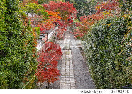 秋季紅葉時分通往萬願寺的道路(兵庫縣川西市) 秋季紅葉時分通往萬願寺的道路(兵庫縣川西市) 133598208