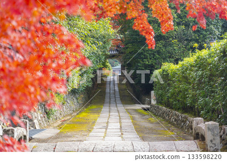 秋季紅葉時分通往萬願寺的道路（兵庫縣川西市） 133598220