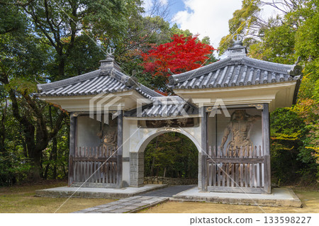 Manganji Temple, Sanmon Gate, Autumn Foliage Season (Kawanishi City, Hyogo Prefecture) Manganji Temple, Sanmon Gate, Autumn Foliage Season (Kawanishi City, Hyogo Prefecture) 133598227