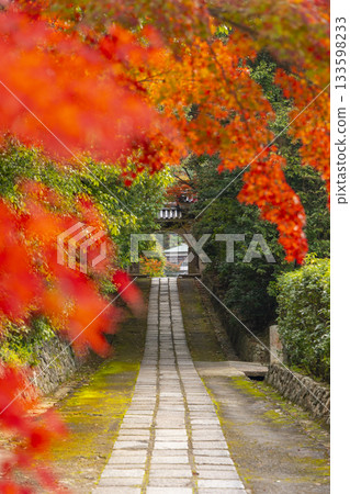 秋季紅葉時分通往萬願寺的道路（兵庫縣川西市） 133598233