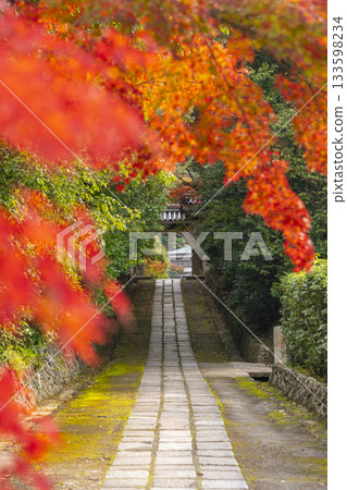 秋季紅葉時分通往萬願寺的道路(兵庫縣川西市) 秋季紅葉時分通往萬願寺的道路(兵庫縣川西市) 133598234