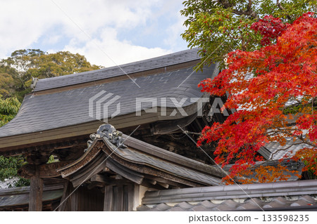 Manganji Temple, Honbo, Autumn leaves season (Kawanishi City, Hyogo Prefecture) Manganji Temple, Honbo, Autumn leaves season (Kawanishi City, Hyogo Prefecture) 133598235