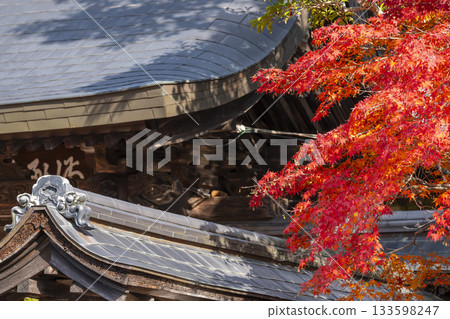 萬願寺，本坊，秋葉季（兵庫縣川西市） 133598247