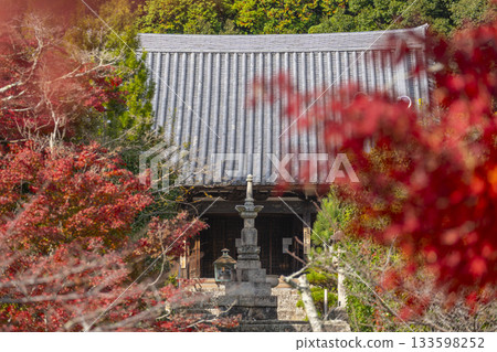 秋季的萬願寺金堂(兵庫縣川西市) 秋季的萬願寺金堂(兵庫縣川西市) 133598252