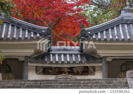 Manganji Temple - Sanmon Gate (Niomon Gate) - Autumn leaves season (Kawanishi City, Hyogo Prefecture) 133598262