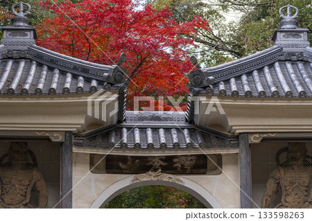 Manganji Temple - Sanmon Gate (Niomon Gate) - Autumn leaves season (Kawanishi City, Hyogo Prefecture) 133598263