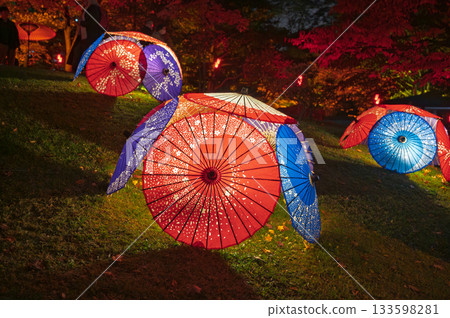 秋日燈光籠罩：中島公園迷人的夜景 133598281