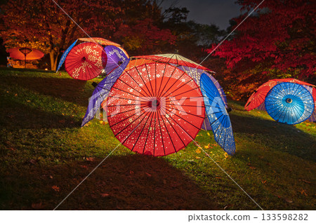 秋日燈光籠罩:中島公園迷人的夜景 秋日燈光籠罩:中島公園迷人的夜景 133598282