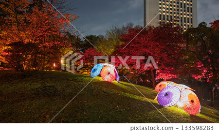 秋日燈光籠罩：中島公園迷人的夜景 133598283