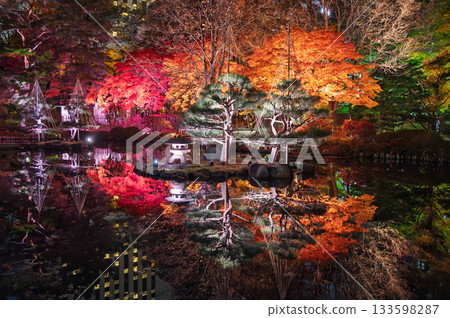Autumn Night Fantasy in a Japanese Garden 133598287
