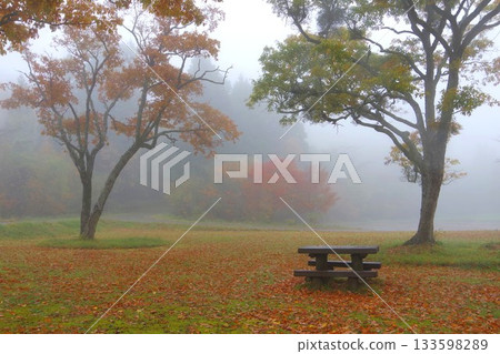 秋天公園長椅 秋天公園長椅 133598289