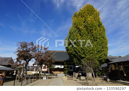Scenery of Ryukoji Temple around Joshu Tomioka Station on the Joshu Electric Railway in Tomioka City, Gunma Prefecture Scenery of Ryukoji Temple around Joshu Tomioka Station on the Joshu Electric Railway in Tomioka City, Gunma Prefecture 133598297