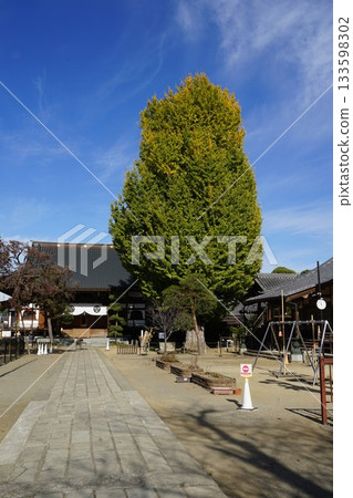 Scenery of Ryukoji Temple around Joshu Tomioka Station on the Joshu Electric Railway in Tomioka City, Gunma Prefecture 133598302