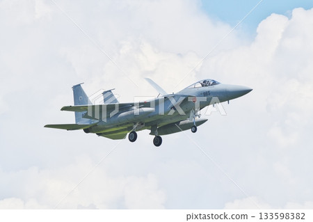 303rd Squadron F-15J preparing to land 133598382