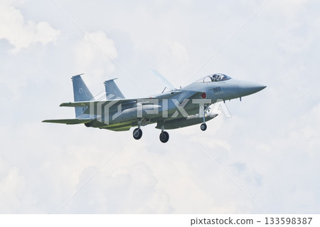303rd Squadron F-15J preparing to land 303rd Squadron F-15J preparing to land 133598387