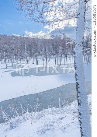 北海道旅遊景點：被雪覆蓋的青池 133598575