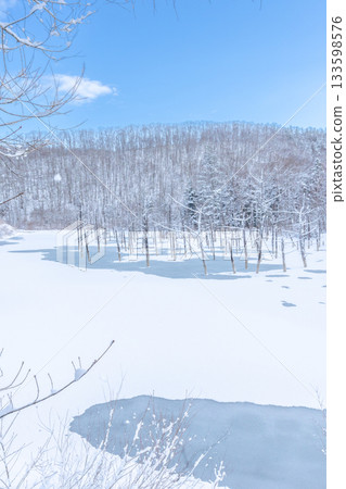 北海道旅遊景點：被雪覆蓋的青池 133598576