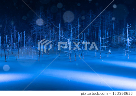 白金溫泉藍池在燈光映襯下呈現壯觀的冬季景色 133598633