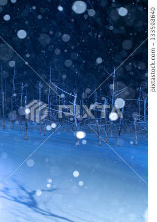 白金溫泉藍池在燈光映襯下呈現壯觀的冬季景色 133598640