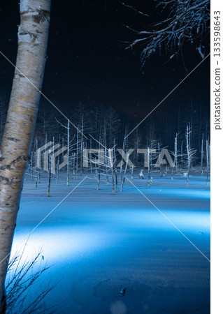 白金溫泉藍池在燈光映襯下呈現壯觀的冬季景色 白金溫泉藍池在燈光映襯下呈現壯觀的冬季景色 133598643