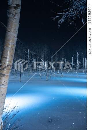 白金溫泉藍池在燈光映襯下呈現壯觀的冬季景色 白金溫泉藍池在燈光映襯下呈現壯觀的冬季景色 133598644