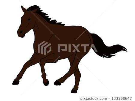 Horse  133598647