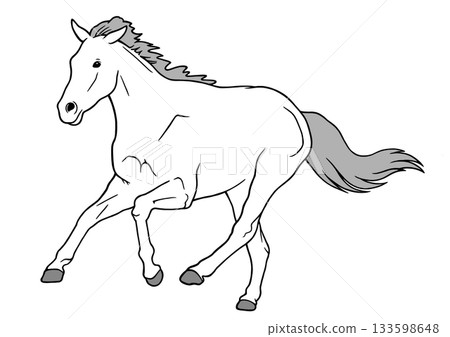 Horse  133598648
