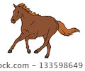 Horse  133598649