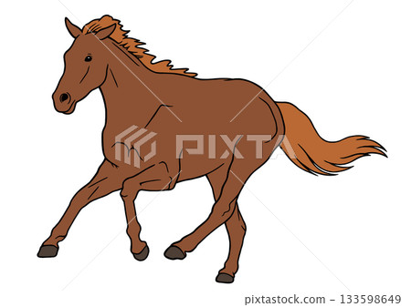 Horse  133598649