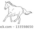 Horse  133598650