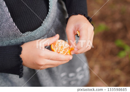 和孩子一起採摘橘子。特寫鏡頭展現了一個孩子小心翼翼地用手剝開橘子皮。 和孩子一起採摘橘子。特寫鏡頭展現了一個孩子小心翼翼地用手剝開橘子皮。 133598685