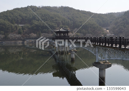 韓國慶尚北道安東市的月陵橋和月陵亭 韓國慶尚北道安東市的月陵橋和月陵亭 133599043