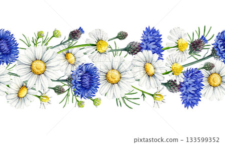 Chamomile with blue cornflowers blossoms seamless border decor element vintage style watercolor illustration. Hand drawn wildflower meadow flowers floral rustic decoration on white background 133599352