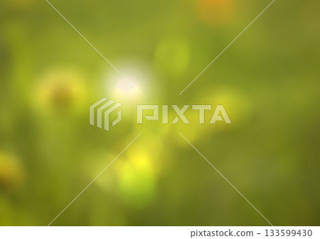 Blurry of autumn trees on a sunny day 133599430
