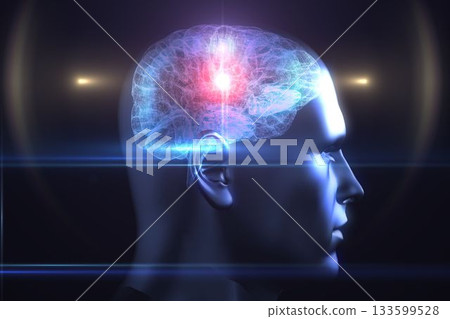 Brain diagram in human head 133599528
