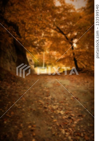 Leaves on road by trees during autumn Leaves on road by trees during autumn 133599540