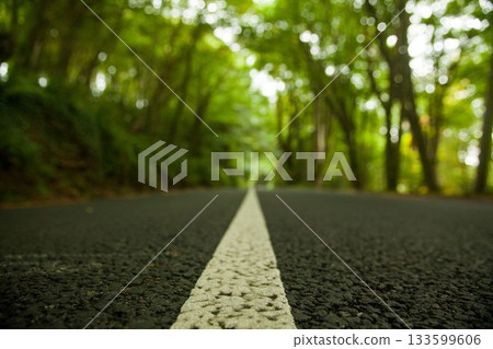 Flat design showing white center line drawing eye along asphalt road cutting through green canopy 133599606