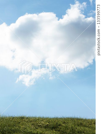 Large cumulus cloud is floating over gently sloping grassy field in flat design illustration 133599773