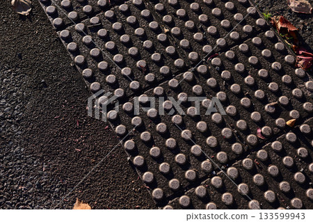 Braille block Braille block 133599943