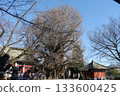 Chiba Prefecture's Bando Thirty-three Kannon Pilgrimage, the 30th temple, Chiba-dera, is a great place to visit for your first visit of the year. 133600425
