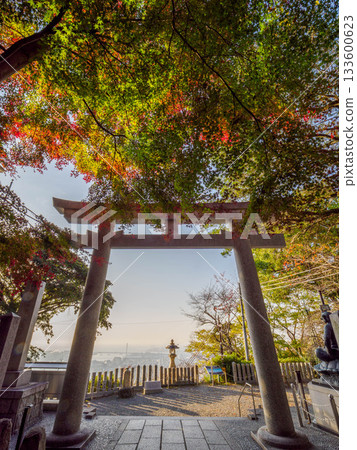 神戶市東灘區北倉神社附近的秋葉 神戶市東灘區北倉神社附近的秋葉 133600623