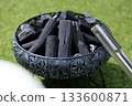 High-quality charcoal and tongs before starting the fire, with grass in the background 133600871