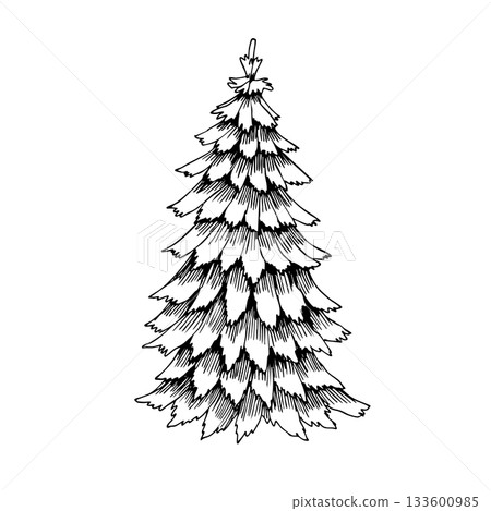 Detailed hand-drawn Christmas tree illustration in vintage engraving style. Perfect for holiday designs, greeting cards, coloring pages, invitations, craft projects, stickers, and festive branding. Detailed hand-drawn Christmas tree illustration in vintage engraving style. Perfect for holiday designs, greeting cards, coloring pages, invitations, craft projects, stickers, and festive branding. 133600985