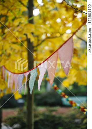 Autumn Celebration Flags on a Sunny October Day 133601160